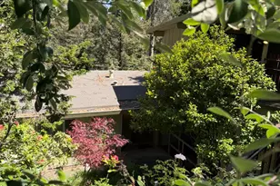 7101 Pinehaven Rd, Oakland, CA 94611 - Photo 4