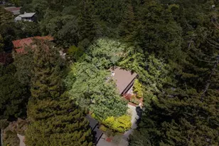332 Canyon Dr, Portola Valley, CA 94028 - Photo 68
