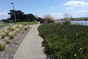 965 Shorepoint Ct, Alameda, CA 94501 - Photo 32