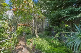 326 Steiner St, San Francisco, CA 94117 - Photo 60