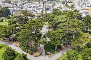 515 Pierce St, San Francisco, CA 94117 - Photo 40