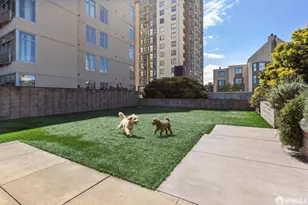 1310 Fillmore St, San Francisco, CA 94115 - Photo 6