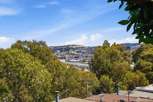 369 Mullen Ave, San Francisco, CA 94110 - Photo 26
