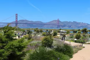 427 23rd Ave, San Francisco, CA 94121 - Photo 38