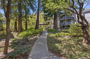 2341 Shelter Creek Ln, San Bruno, CA 94066 - Photo 20