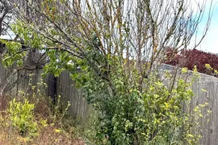 737 London St, San Francisco, CA 94112 - Photo 16