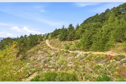 650 Viewridge Drive, Pacifica, CA 94044 - Photo 38