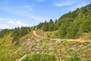 650 Viewridge Dr, Pacifica, CA 94044 - Photo 38