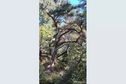 2505 Bear Canyon Road, Los Gatos, CA 95033 - Photo 18