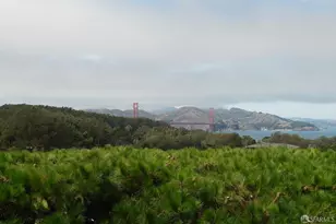 3638 Washington St, San Francisco, CA 94118 - Photo 24