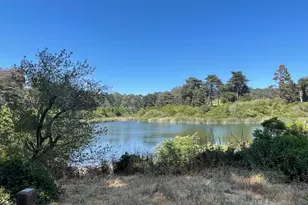 948 Lake St, San Francisco, CA 94118 - Photo 42