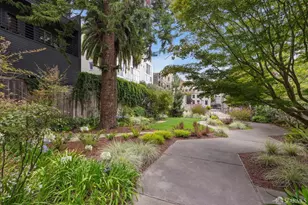 2060 Sutter St, San Francisco, CA 94115 - Photo 52