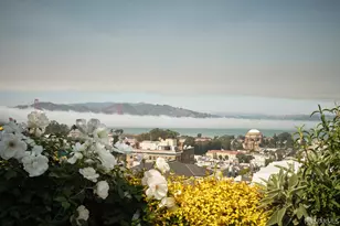 2833 Vallejo St, San Francisco, CA 94123 - Photo 18
