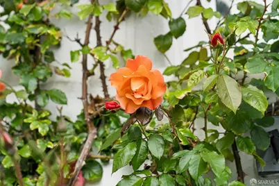 445 Darien Way, San Francisco, CA 94127 - Photo 68