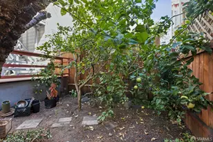127-129 Duboce Ave, San Francisco, CA 94103 - Photo 32