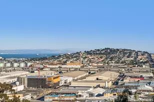 315 Franconia St, San Francisco, CA 94110 - Photo 6
