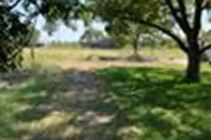 3150 Co Rd 152, Georgetown, TX 78626 - Photo 4