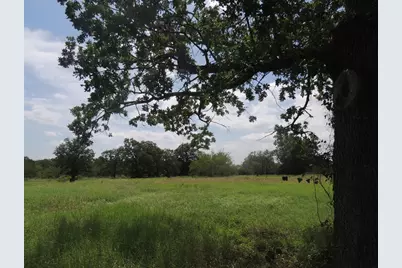 267 Linam Lane, Cedar Creek, TX 78612 - Photo 18