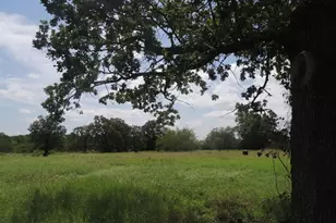 267 Linam Ln, Cedar Creek, TX 78612 - Photo 18