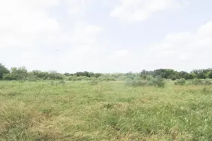 267 Linam Ln, Cedar Creek, TX 78612 - Photo 14