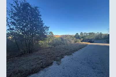 Lot 858 Mamalu Drive, Bastrop, TX 78602 - Photo 6