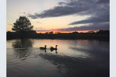 611 Post Oak Drive, Dripping Springs, TX 78620 - Photo 6