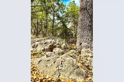 2519 George Pass, Canyon Lake, TX 78133 - Photo 1