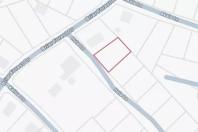 0 Hula Lane, Bastrop, TX 78602 - Photo 4