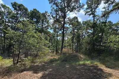0 Hula Lane, Bastrop, TX 78602 - Photo 1