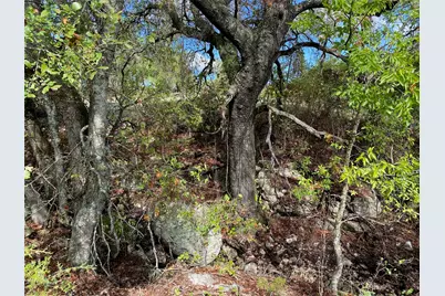 Shooting Star Lot 28 ., Lometa, TX 76853 - Photo 12