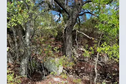 Shooting Star Lot 28 ., Lometa, TX 76853 - Photo 12