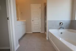 118 Big Banyan Dr, Dripping Springs, TX 78620 - Photo 8