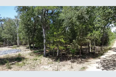 959 Carter Road, Dale, TX 78616 - Photo 6