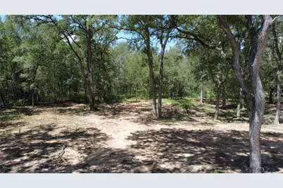 959 Carter Road, Dale, TX 78616 - Photo 4