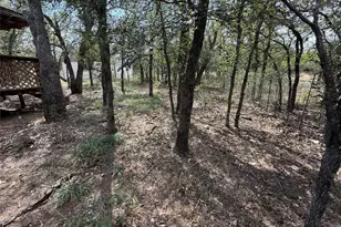 435 Horseshoe Dr, Kingsland, TX 78639 - Photo 4