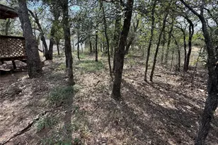435 Horseshoe Dr, Kingsland, TX 78639 - Photo 4