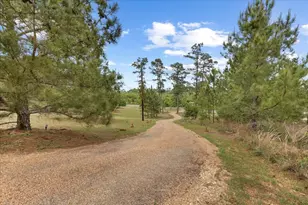 178 Pine Tree Loop, Bastrop, TX 78602 - Photo 4