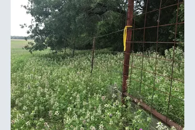 1672 Tract 1 Sayers Road, Bastrop, TX 78602 - Photo 4