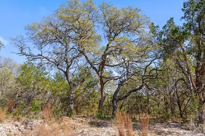 15407 Fitzhugh Road, Dripping Springs, TX 78620 - Photo 22