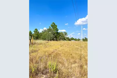 Tbd Ponderosa Loop, Paige, TX 78659 - Photo 12