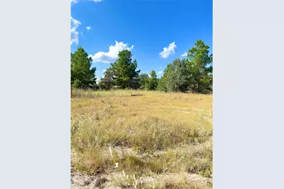 Tbd Ponderosa Loop, Paige, TX 78659 - Photo 14