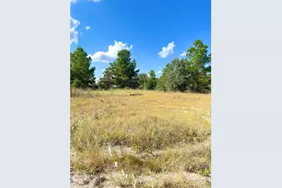 Tbd Ponderosa Loop, Paige, TX 78659 - Photo 14