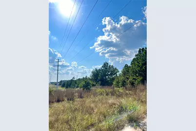 Tbd Ponderosa Loop, Paige, TX 78659 - Photo 2