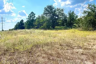 Tbd Ponderosa Loop, Paige, TX 78659 - Photo 1