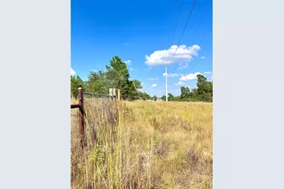 Tbd Ponderosa Loop, Paige, TX 78659 - Photo 10