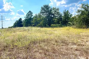 Tbd Ponderosa Loop, Paige, TX 78659 - Photo 1