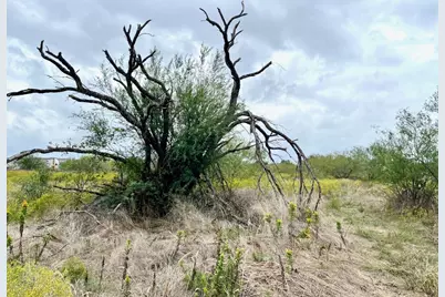 11604 Moore Road, Austin, TX 78719 - Photo 14