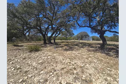 230 Bush Bok Drive, Burnet, TX 78611 - Photo 4