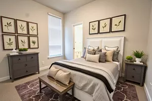 117 Missouri Primrose Ln, San Marcos, TX 78666 - Photo 14