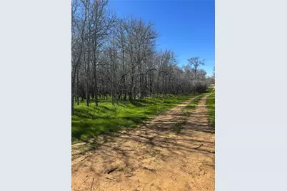 Lots 499 and 500 Kaaawa Lane, Bastrop, TX 78602 - Photo 2